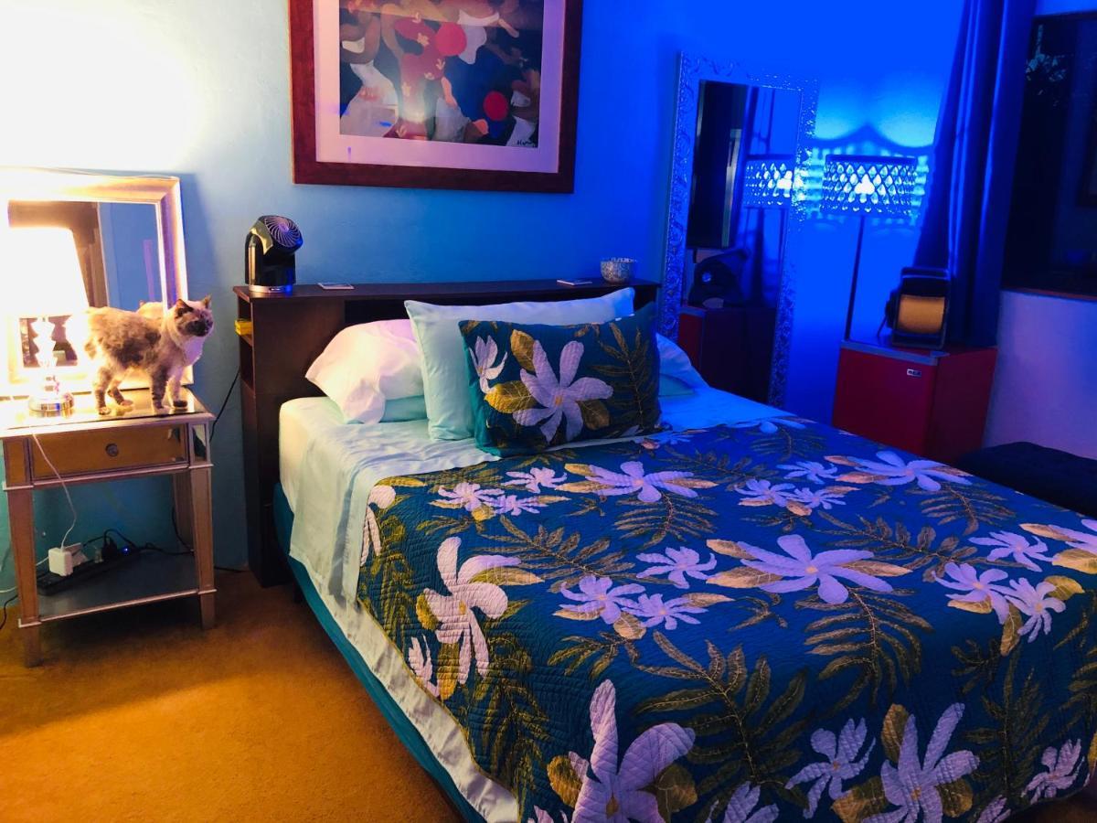 Kona Magic Honu Room Καϊλούα-Κόνα Εξωτερικό φωτογραφία